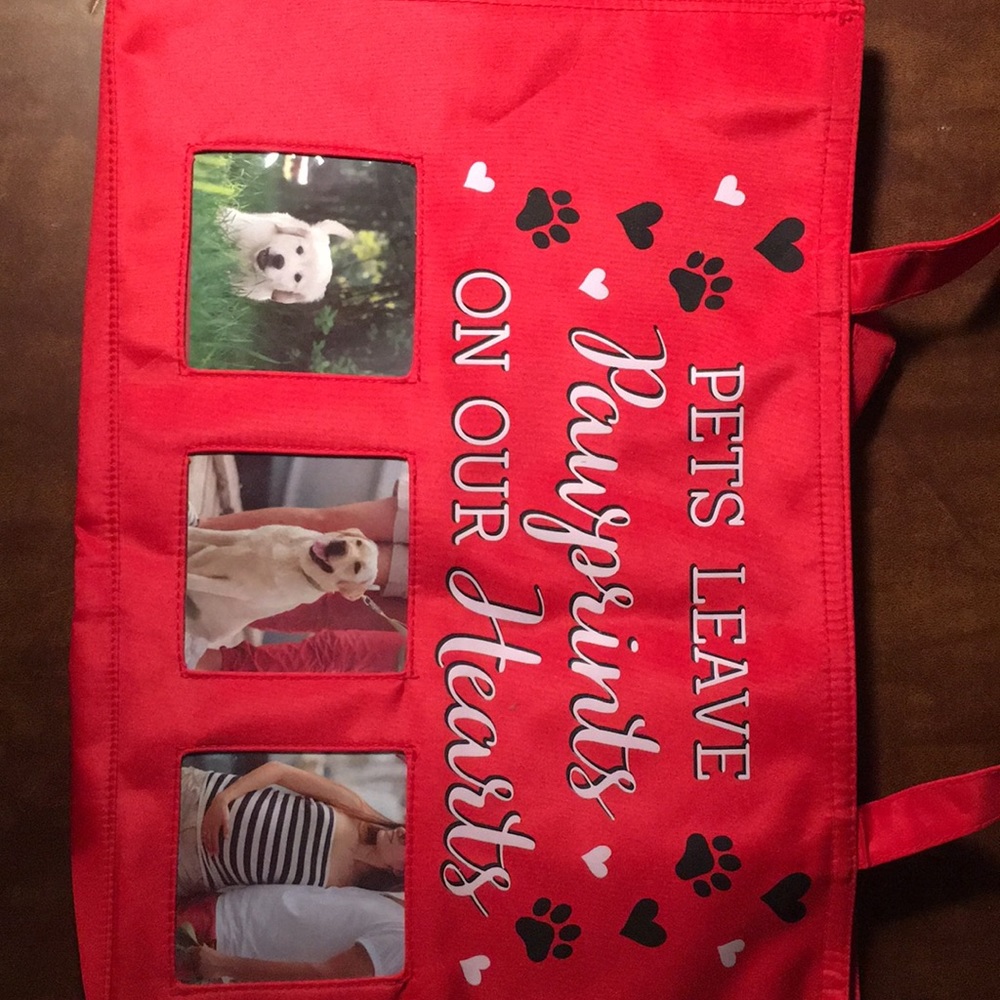 host pick 🎉🎉🎉Cute pet bag
